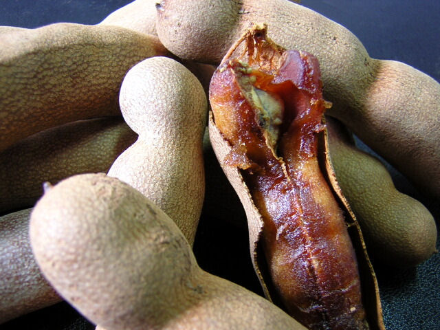 Buah Asam Kelubi