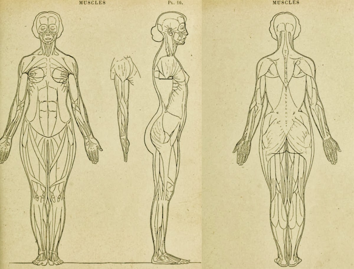 Женщина дает урок женской анатомии на своем примере