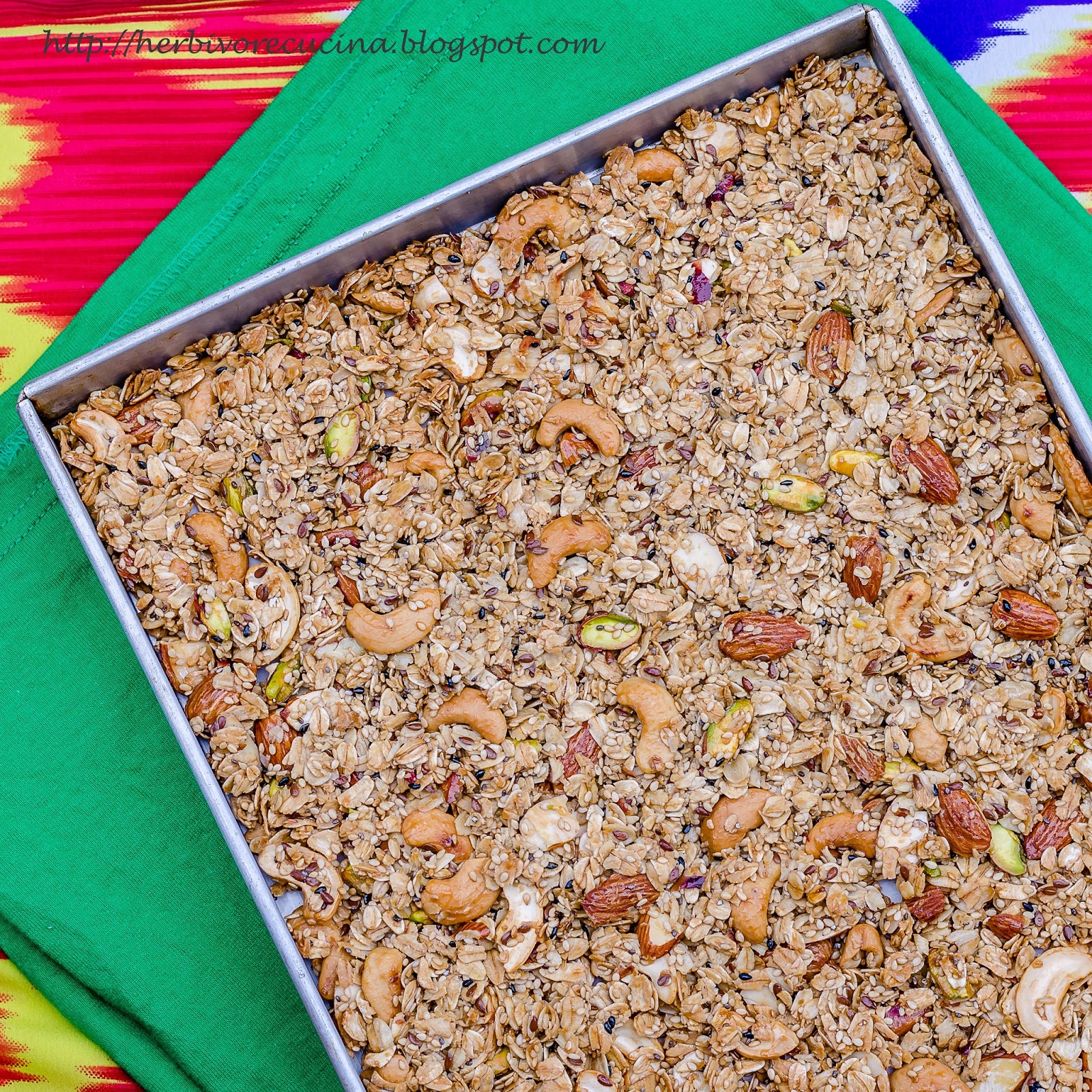 Herbivore Cucina Oats and Dry Fruit Chikki