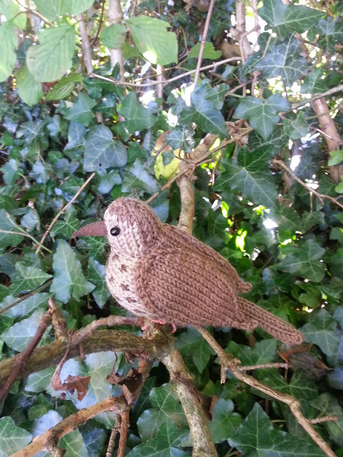 Knit for Victory: Song thrush