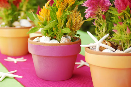 Decorate Flower Pots