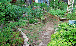 Garden View from the Arbor