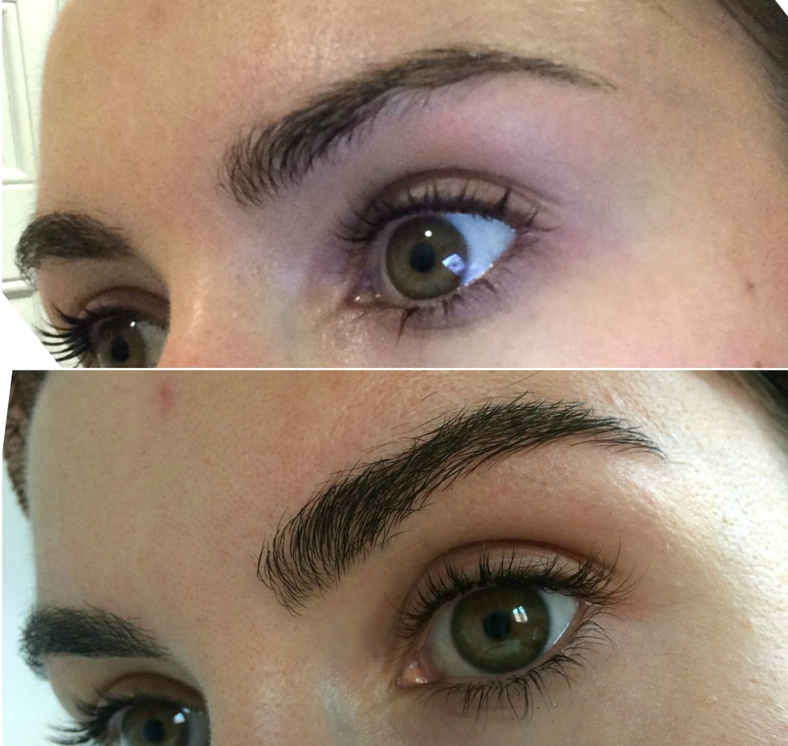 beauty le chic rapidbrow this sh t works it actually works eyebrow serum that works