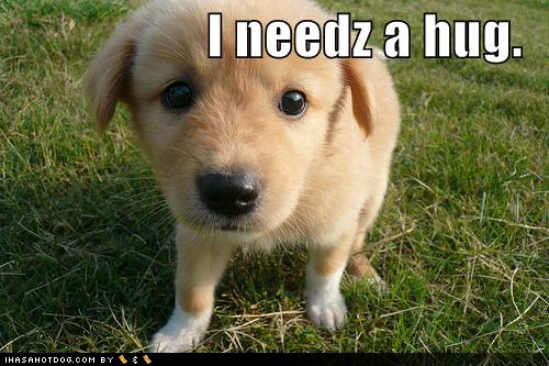 [Bild: cute_puppy_pictures_outside_needs_hug%25...25255D.jpg]