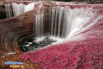 Caño Cristales: Το πιο όμορφο ποτάμι του κόσμου!  (photos)