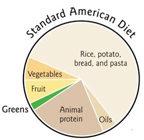 Diet Chat