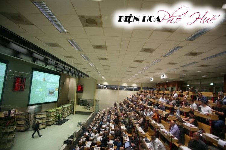 [Image: Ghe-tham-cho-hoa-tuoi-khong-lo-o-Ha-Lan-6.jpg]