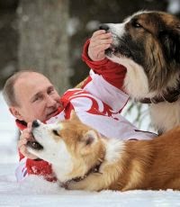 Путин унизил нацию. Александр Зубченко Путин унизил нацию. Александр Зубченко