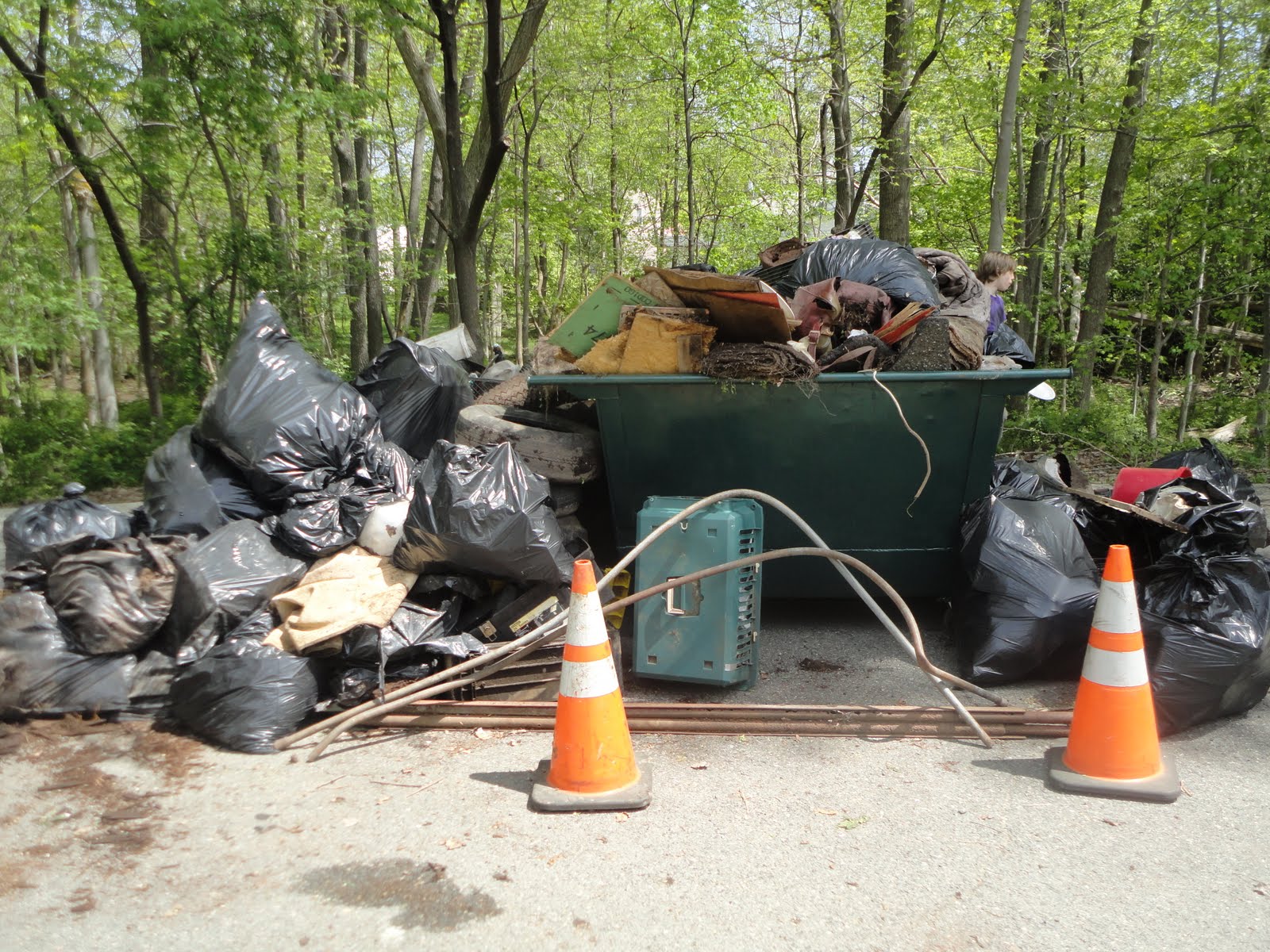 American Dream Finder Disposable Nation A Cautionary Essay on Waste