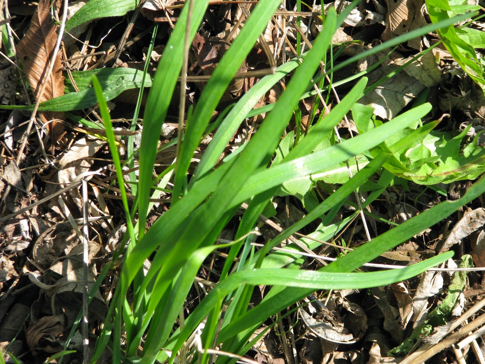 Home Sweet Life May 2014