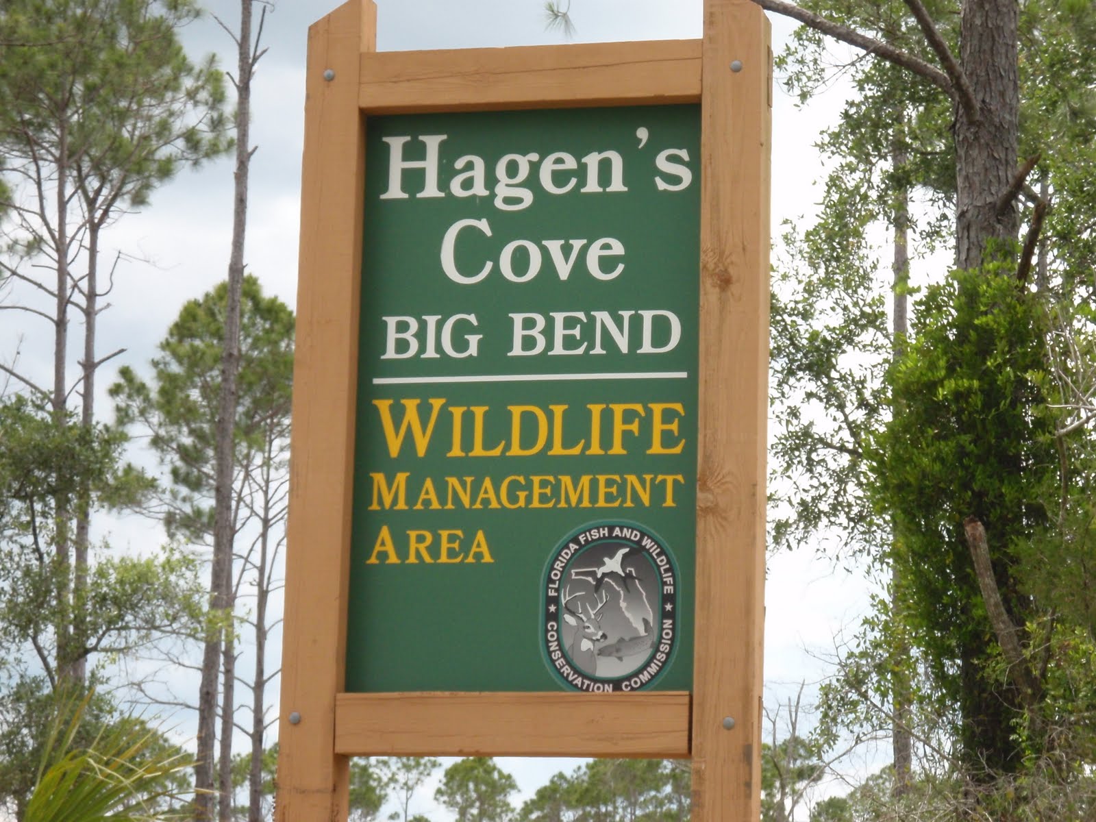 SOUTH KAYAK FISHING Hagen's Cove near Keaton Beach, FL