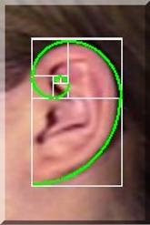 Fibonacci!!