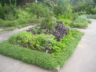 Herb Garden Design Plans