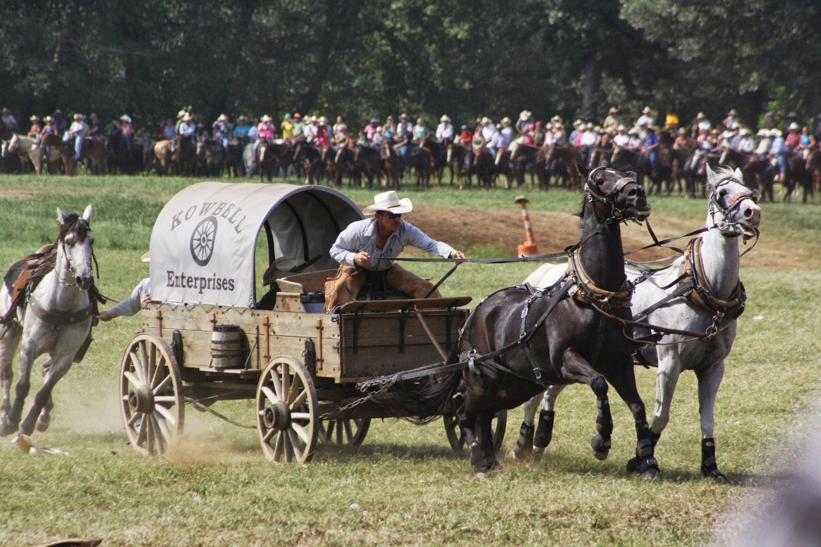 PairADice Mules National Champion Chuckwagon Races Clinton, AR