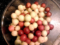 A bowl of foraged plums