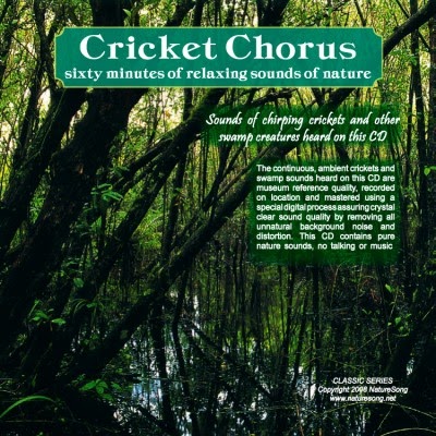 play sounds of nature music