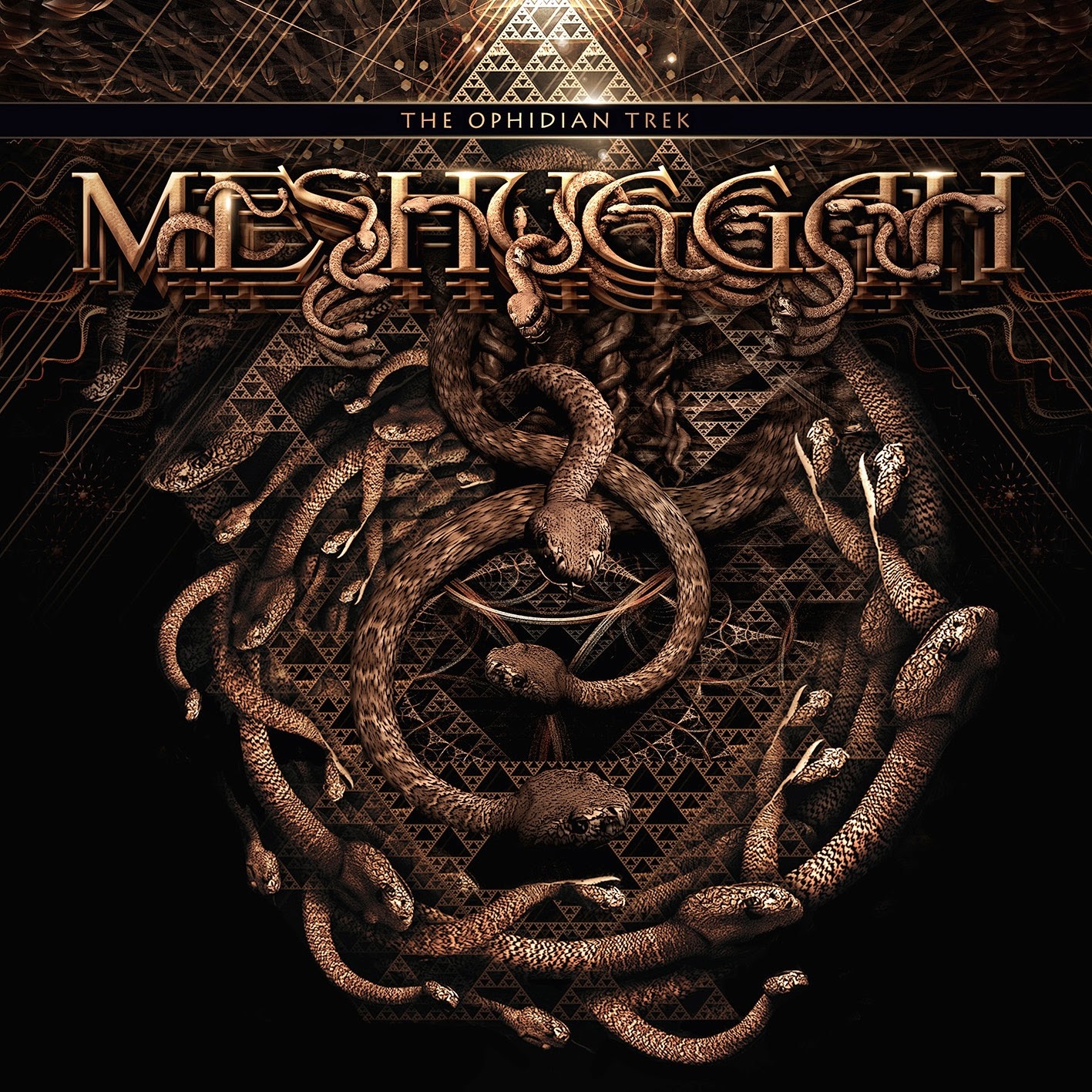 Meshuggah koloss download blogs