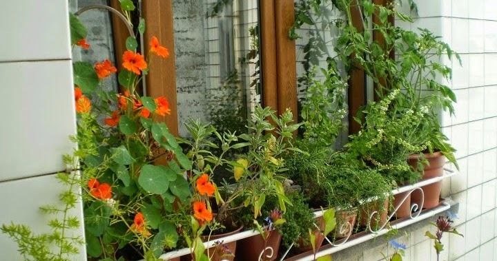 ARTE Y JARDINERÍA : ALFÉIZARES DE VENTANAS EN DISEÑO DE JARDINES