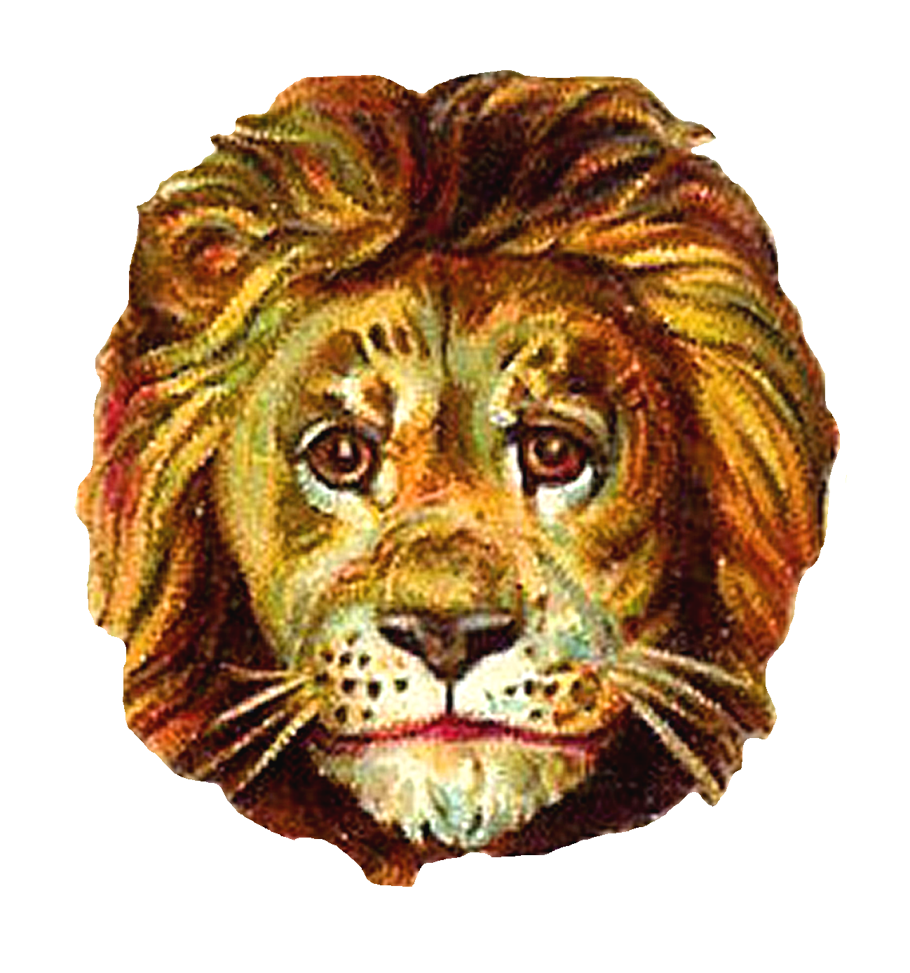 Antique Images 2 Lion Head Clip Art Digital Download Animal Portraits