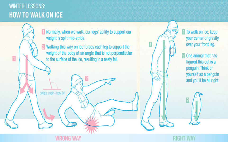 This Is How You Can Walk On Ice The Discover Reality