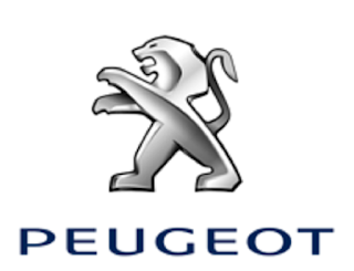 Novo Peugeot 207 2015 icarros