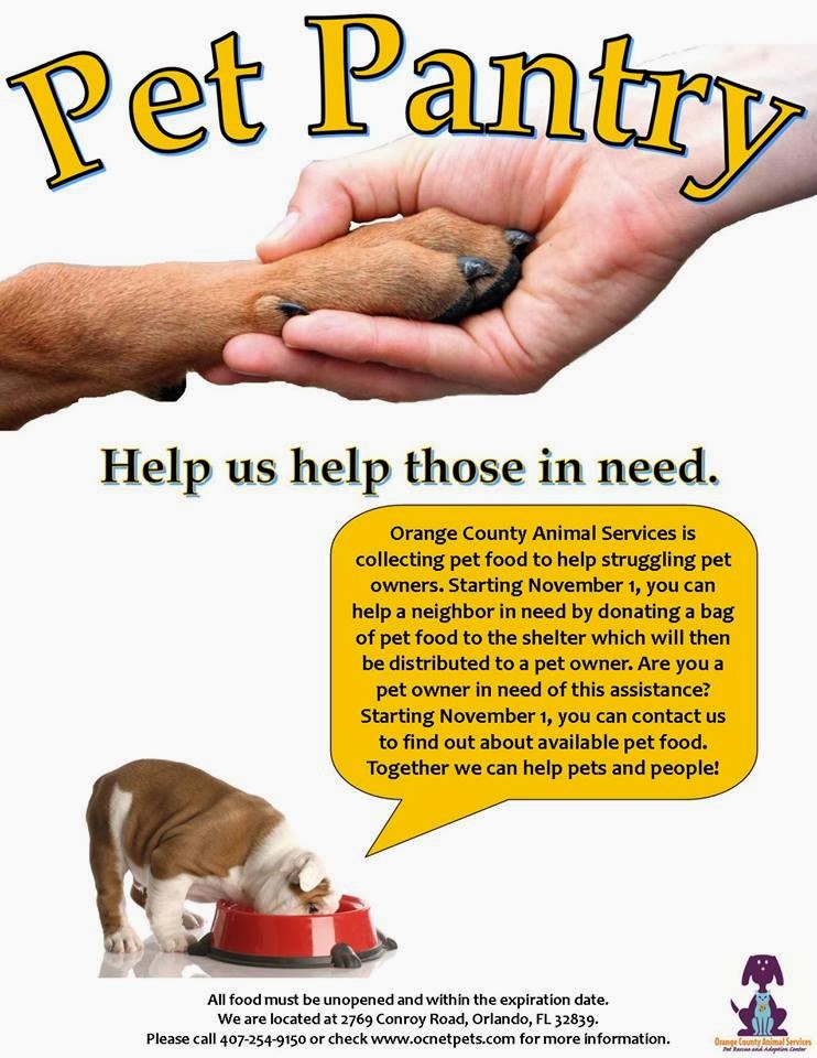 Life With Beagle Meowloween Plus New Pet Food Pantry In Orlando