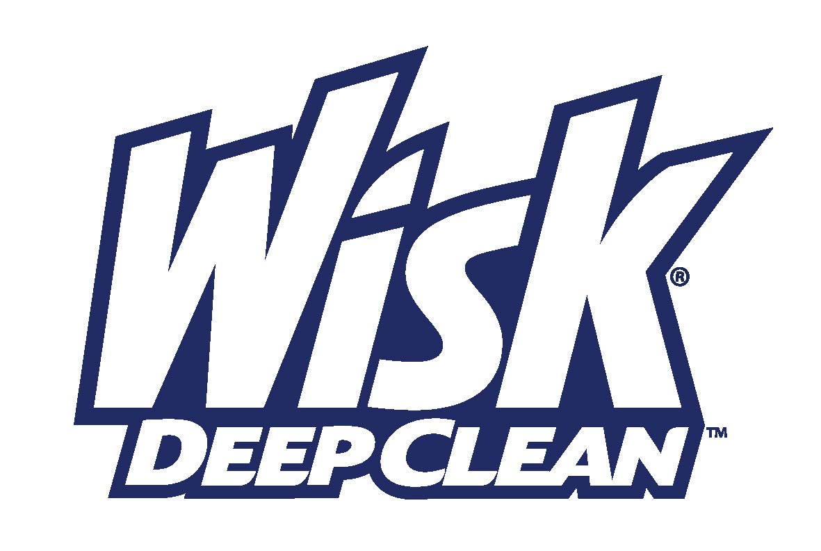 Wisk Detergent Review and Giveaway Springing Into Summer Fun {CLOSED