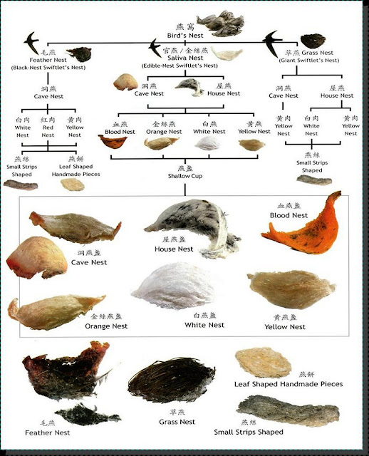 燕窝的种类 Types of Bird's Nest