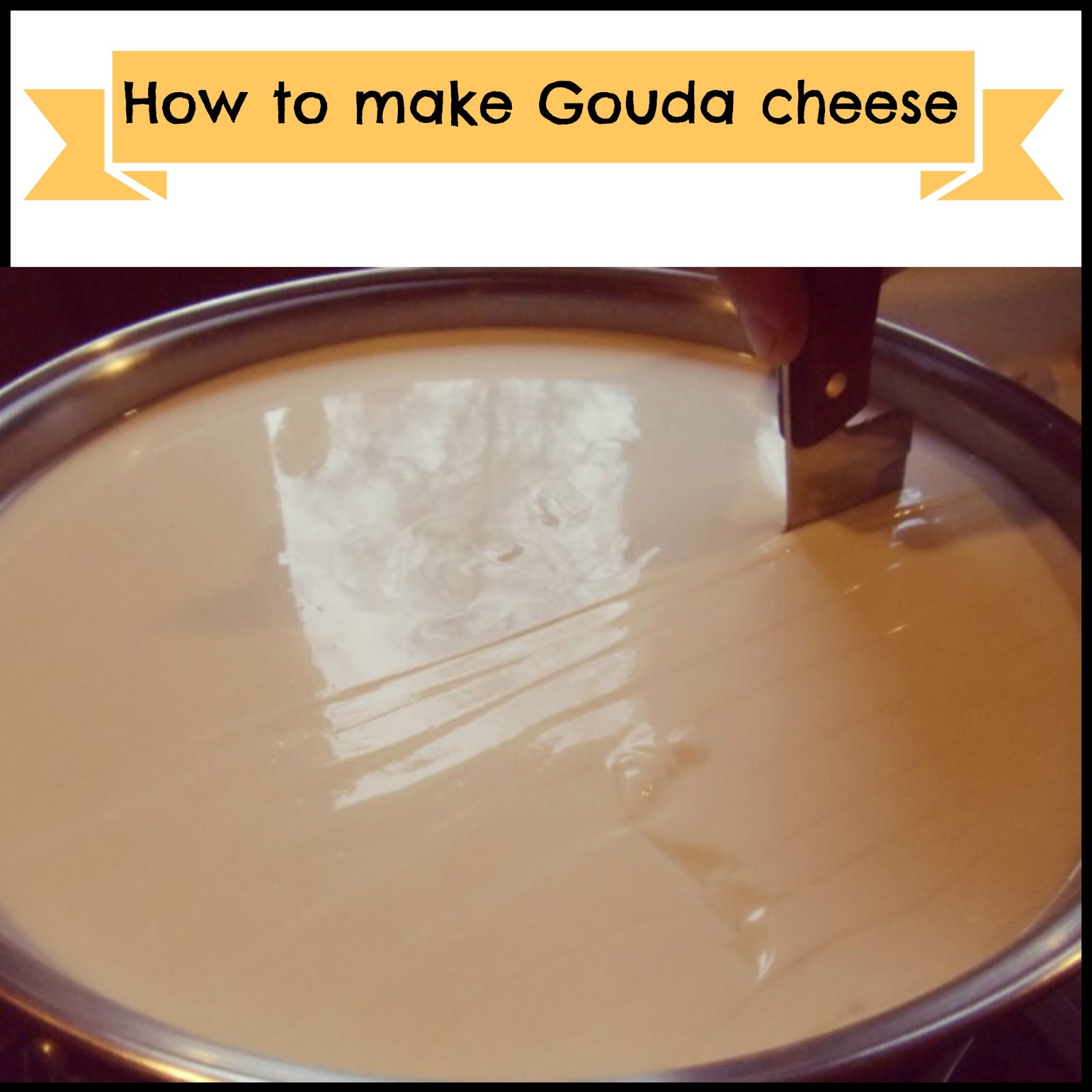 How to make Gouda cheese