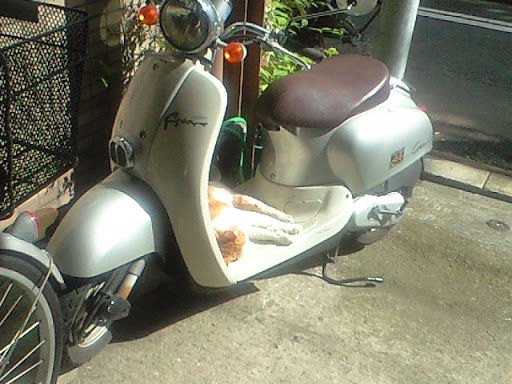 20100603-CA3A0112.JPG
