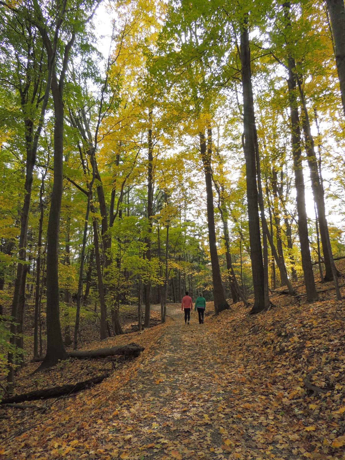 Hamilton Conservation Nature Crawl in the Dundas Valley