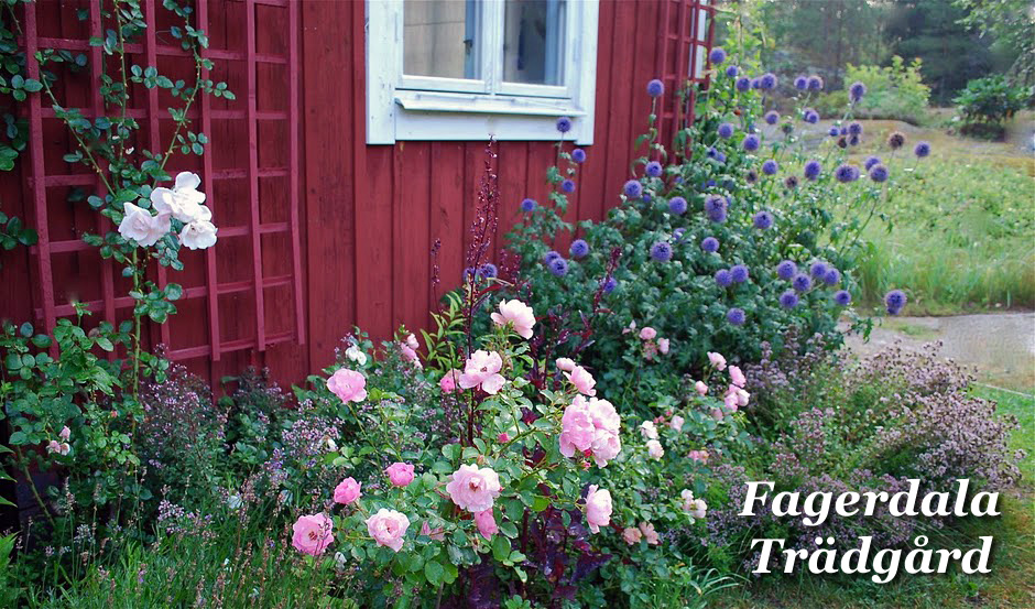 Fagerdala trädgård