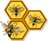 Cresterea albinelor