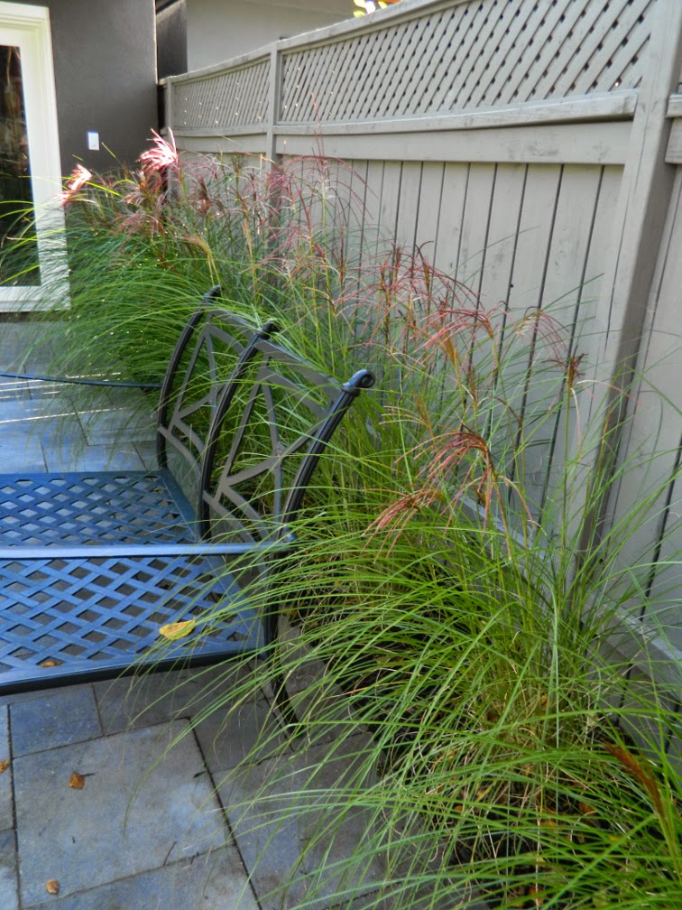 Greektown garden design after autumn by Paul Jung Gardening Services Toronto Greektown garden design after autumn by Paul Jung Gardening Services Toronto
