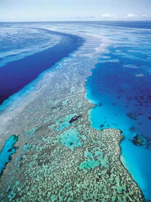 Australian Reef
