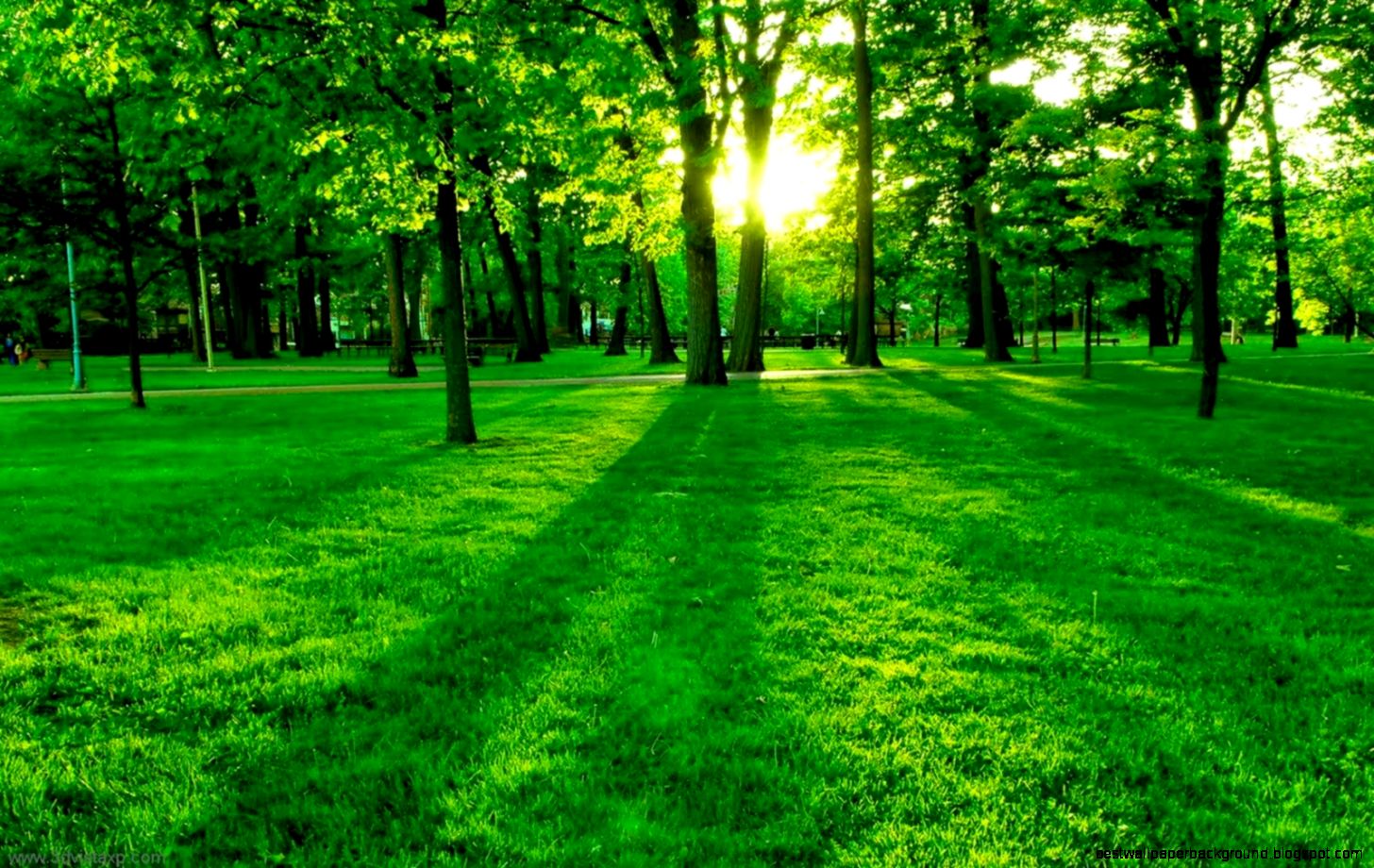 HD wallpaper Green Nature HD wallpaper Green Nature