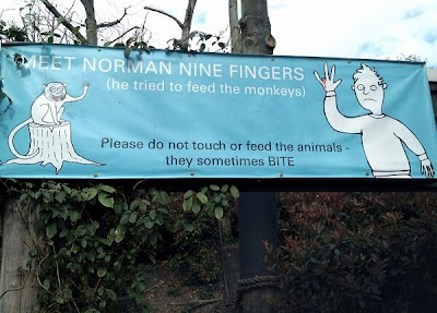 Meet Norman Nine Fingers