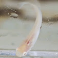 自分の写真