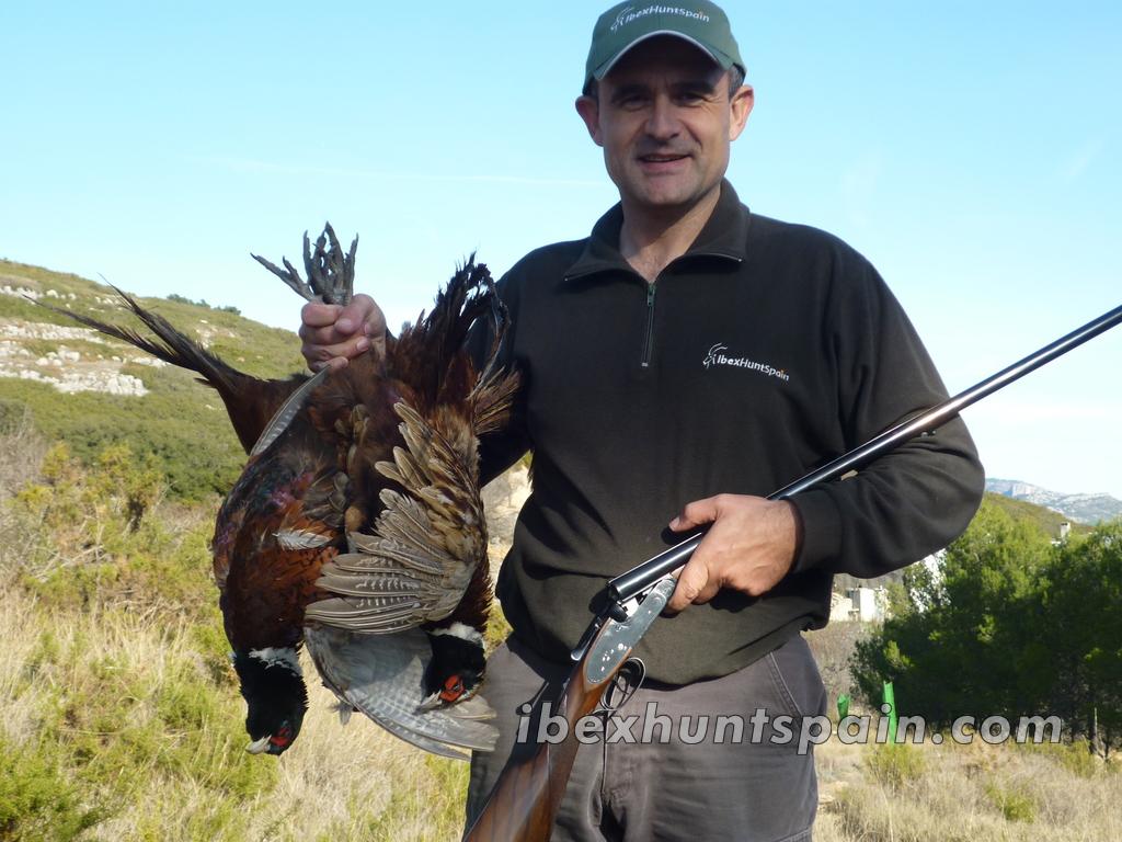 Spanish Ibex Hunts Ibex Hunting in Spain Driven Partridges in Spain