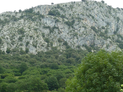 Picos de Europa