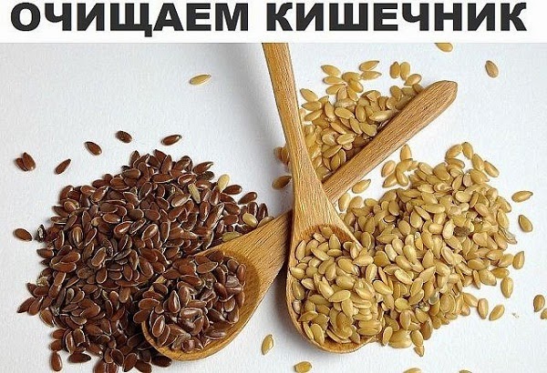 очистка кишечника от паразитов в домашних условиях очистка кишечника от паразитов в домашних условиях
