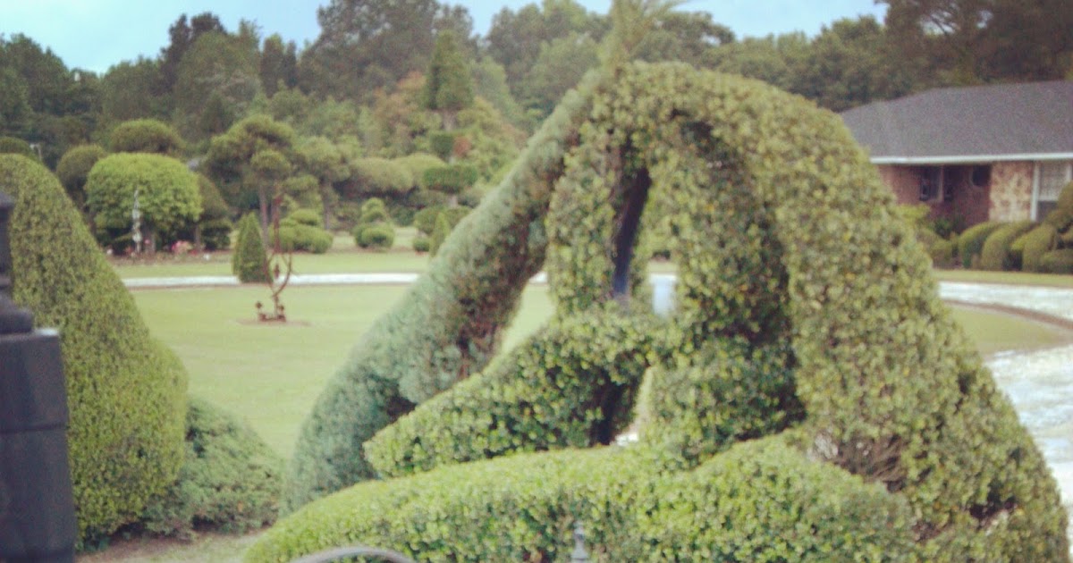 Pearl Fryar Topiary Garden in SC