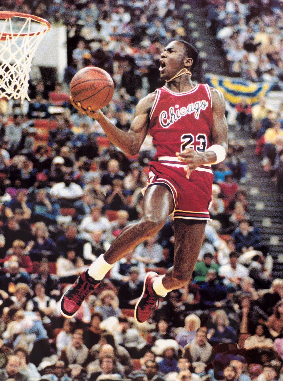 I Was Here.: Michael Jordan