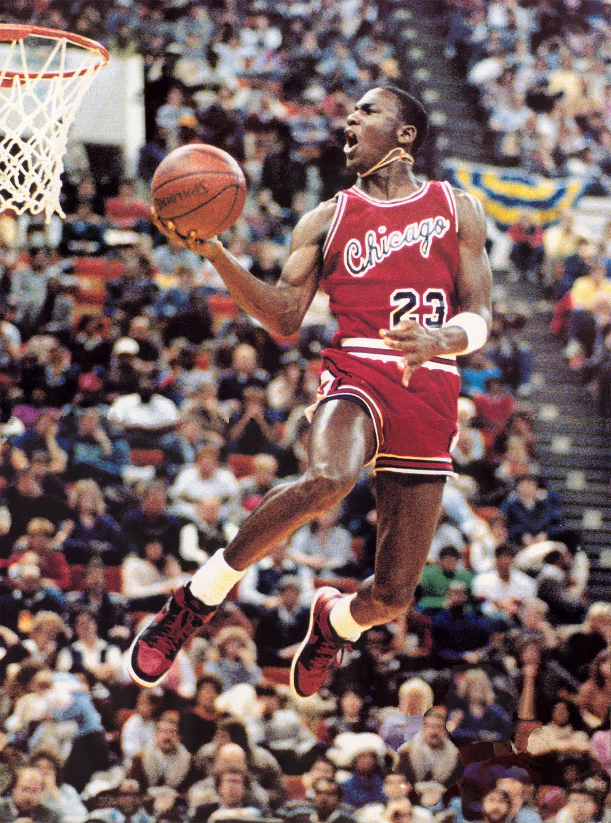 Michael+Jordan+Dunk.jpg
