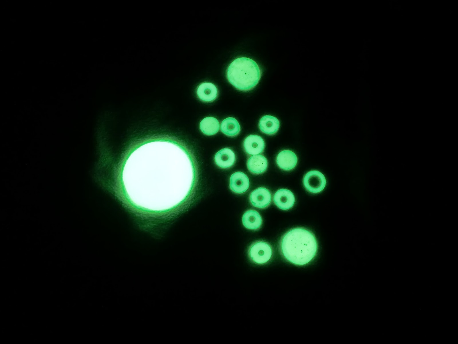 Werkbank0850 Glow In The Dark Items