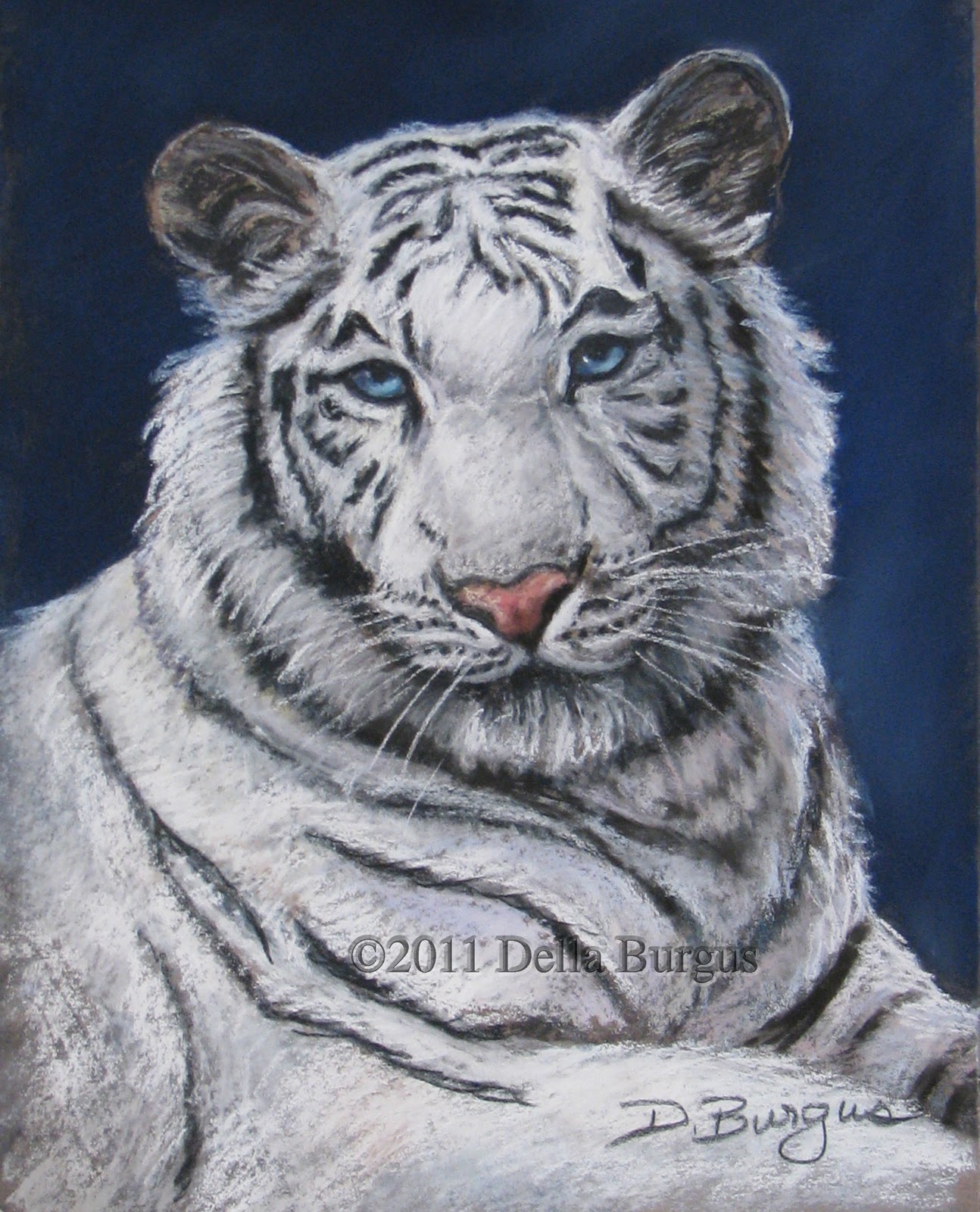 white tiger art