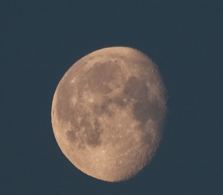 Carla Dyck Photography Spotlight Moon