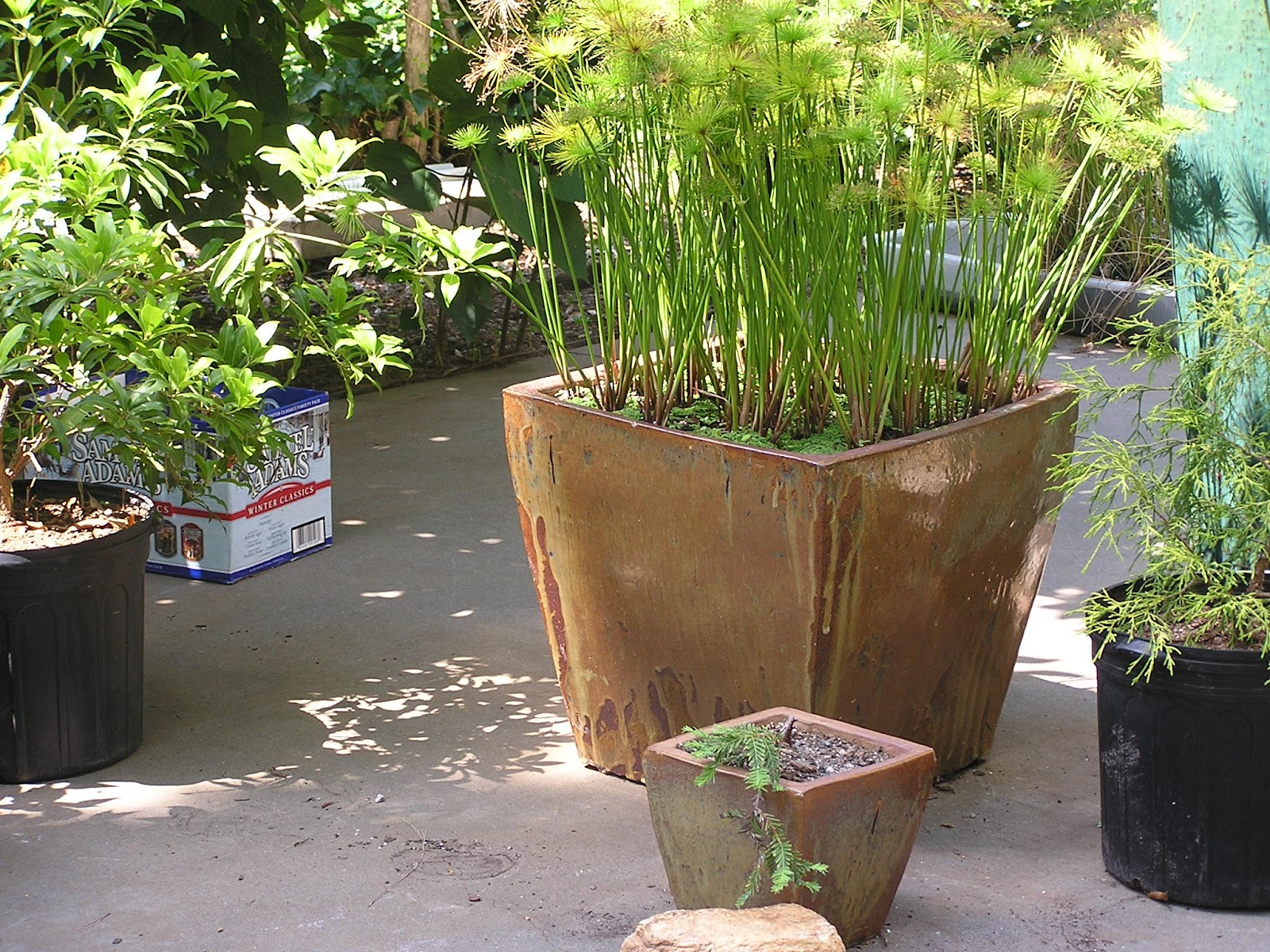 paradis express AW Pottery, Atlanta