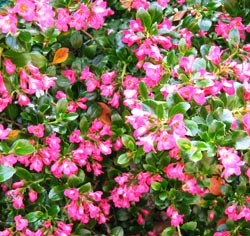 Land Of The Big Sky A Multicoloured Blog