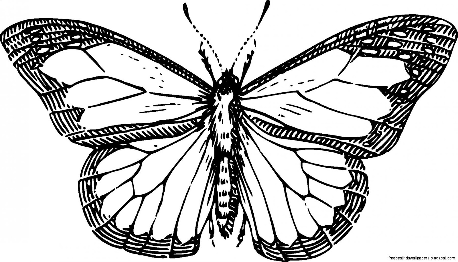 Butterfly Clip Art Black Line Drawings Butterfly Clip Art Black Line Drawings
